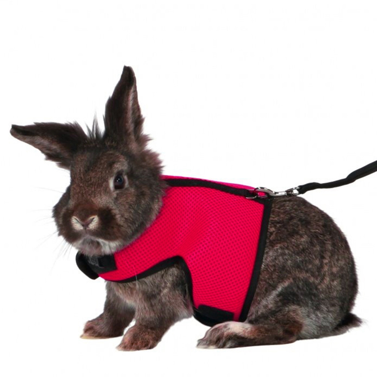Tavşanlar İçin Ayarlanabilir Y - Running Gear Rabbit incelemesi ve fiyatı